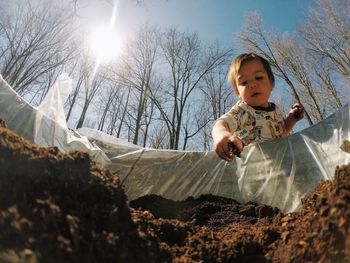 Low angle view of baby boy holding dirt collected in container during sunny day