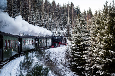 Scenic view of snow covered trees by train during winter