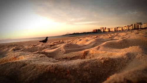 Scenic view of beach against sky during sunset