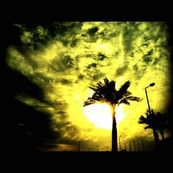 Low angle view of silhouette palm trees against sunset sky