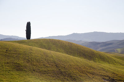 Scenic view of landscape against clear sky