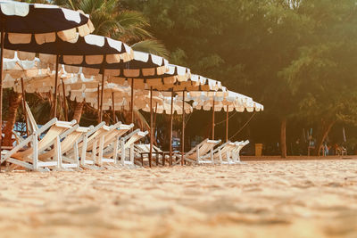 Empty chairs on beach against trees