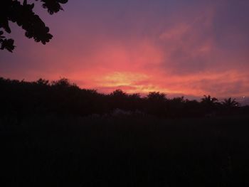 Silhouette trees against sky during sunset