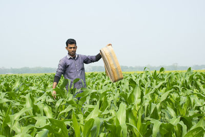 Young farmer holding water pipe in corn field to watering plants
