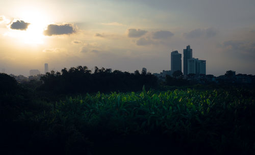 Scenic view of field against sky during sunset