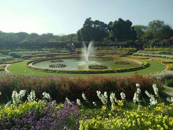 Scenic view of park against sky