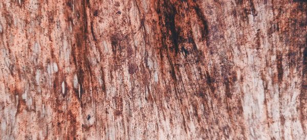 Full frame shot of wooden planks