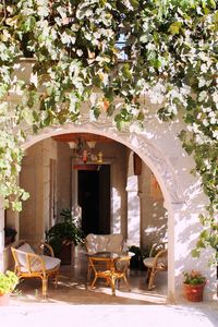 Potted plants in building