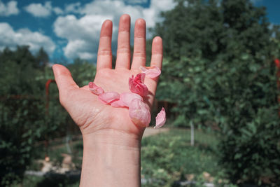 Close-up of hand holding plant against blurred background