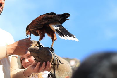 Eagle in hand maspolomas 1 person 