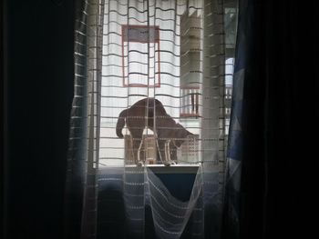 Reflection of man on glass window
