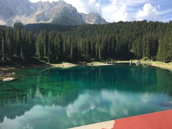 Panoramic view of lake and trees in forest