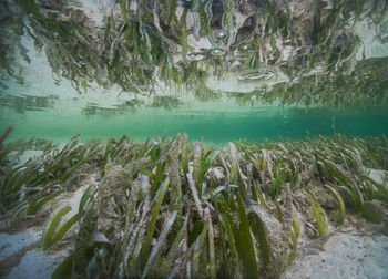 Scenic view of lake