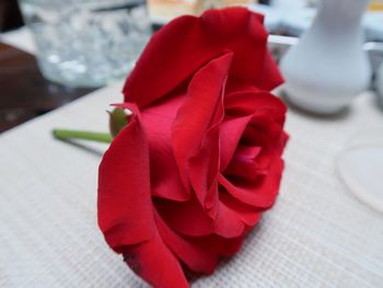 Close-up of red rose on table