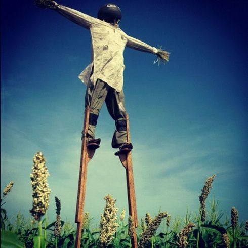 low angle view, blue, clear sky, sky, tree, day, sculpture, outdoors, sunlight, statue, nature, growth, no people, human representation, plant, windmill, wind power, environmental conservation, art and craft, pole