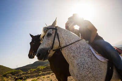 People kissing while sitting on horses against sky