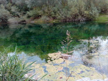 Scenic view of lake