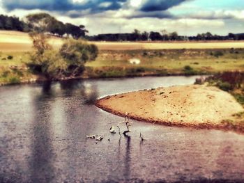 Close-up of tree by lake against sky
