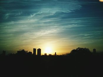 Silhouette of trees at sunset