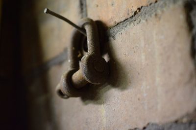 Close-up of rusty metal