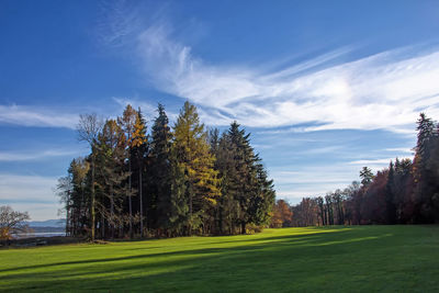 Trees on field against sky