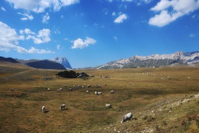 Scenic view of landscape and mountains against sky