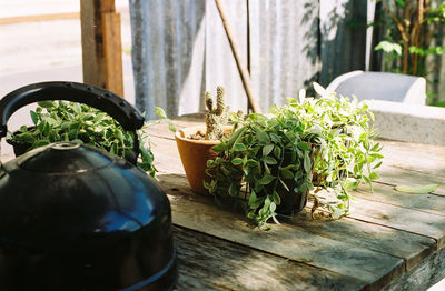 Potted plant on table