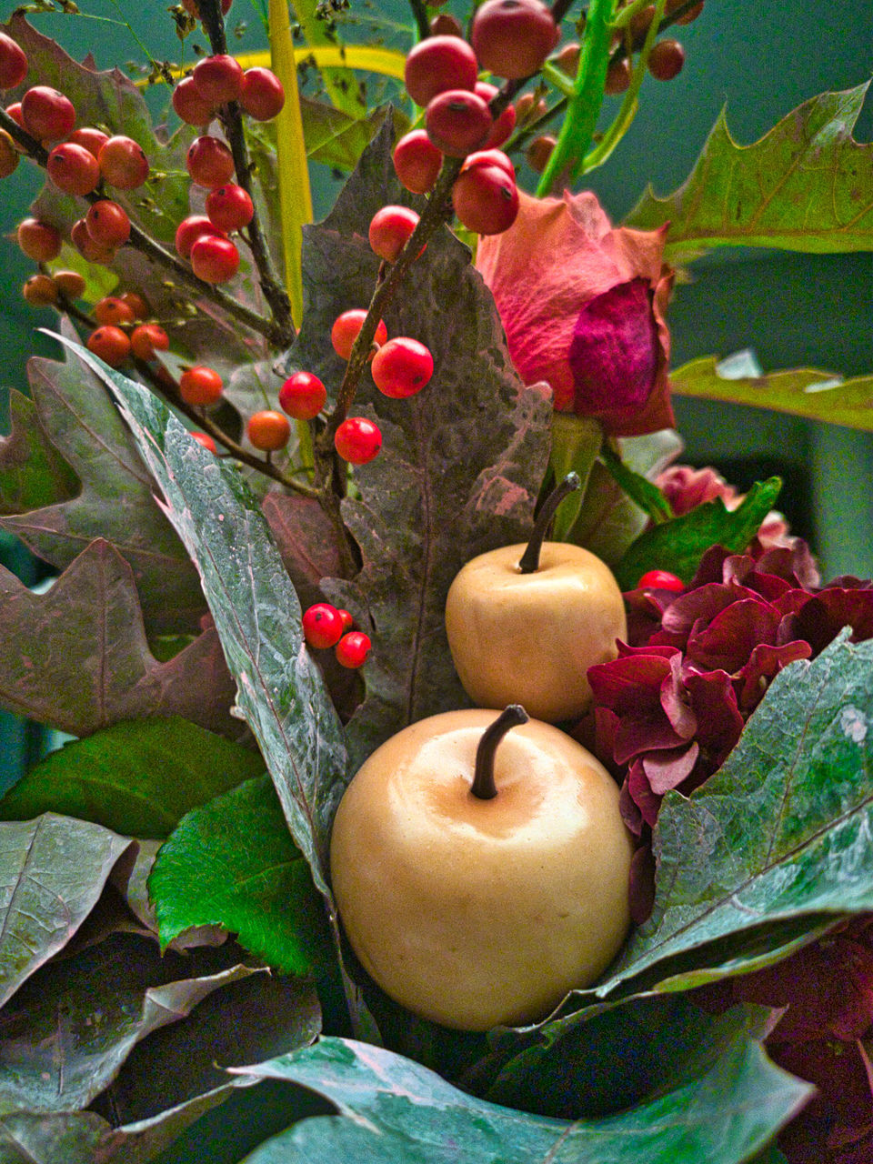 CLOSE-UP OF FRUITS GROWING ON TREE