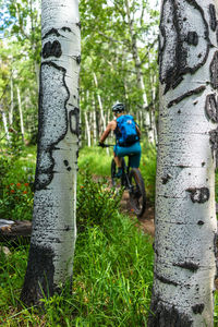 Man with bicycle on tree trunk in forest