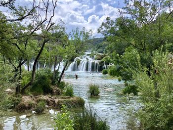 River flowing amidst trees in forest against sky