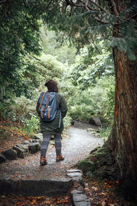 Rear view of woman hiking in forest