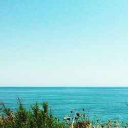 Scenic view of sea against clear sky