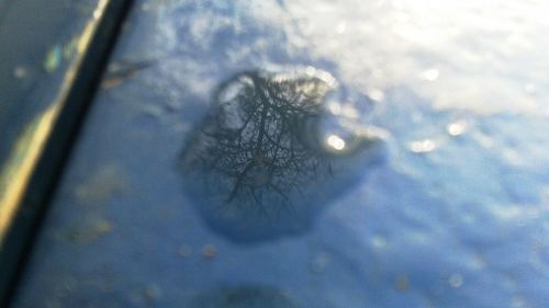 Close-up of water drops on white background