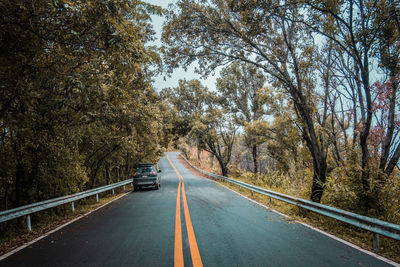 Road amidst trees and plants