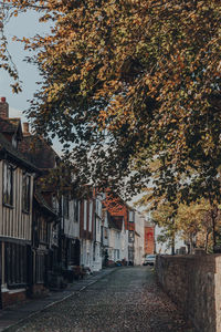 Street amidst trees and buildings during autumn