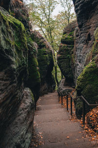 Footpath amidst rocks in forest