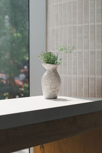 plant