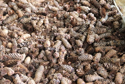 Full frame shot of a sea