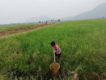 Boy holding butterfly net on agricultural field