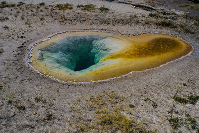 High angle view of shell on land