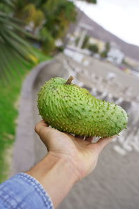 Close-up of hand holding leaf