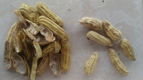 High angle view of shells on table