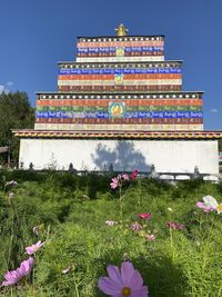 View of flowering plants on grassy field against building