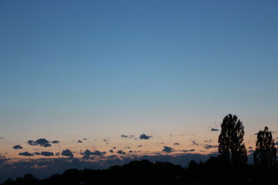 Silhouette trees against clear blue sky during sunset