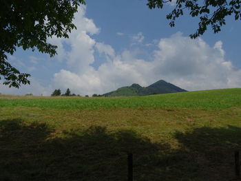 Scenic view of field against sky