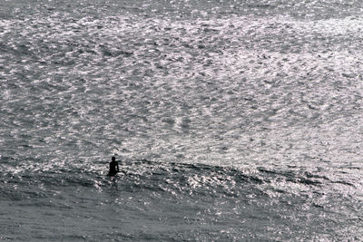 Silhouette man surfing in sea