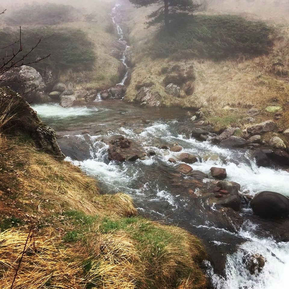 SCENIC VIEW OF WATERFALL IN FOREST