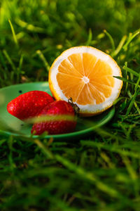Close-up of strawberry on plant