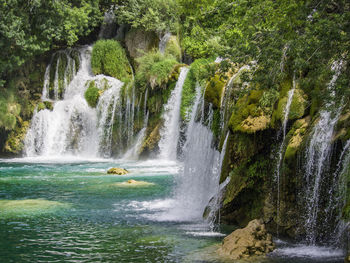 Scenic view of waterfall in forest