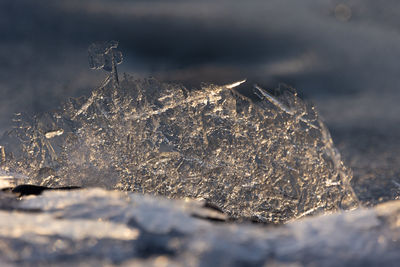 Gilded winter. translucent ice awakens in golden sunrise in northern europe